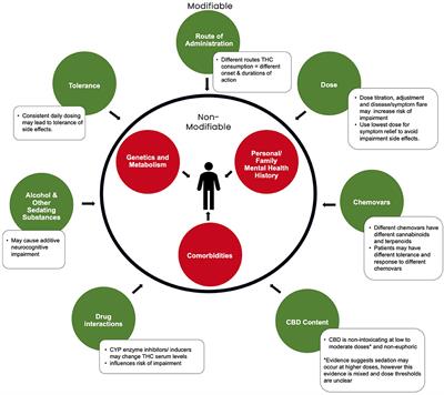 A Clinical Framework for Assessing Cannabis-Related Impairment Risk